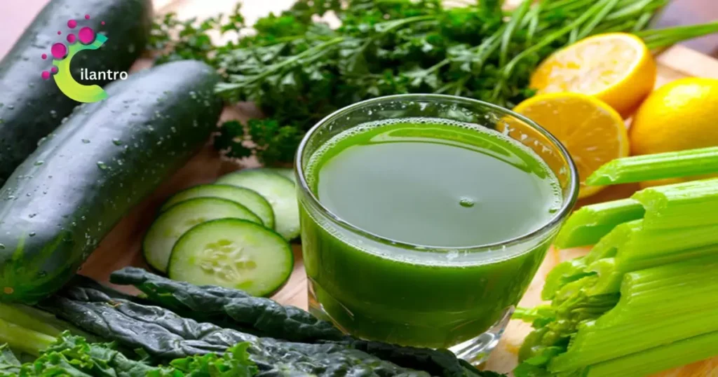 Recipe for Cilantro Leaf Juice to Support Weight Loss and Reduce Belly Fat