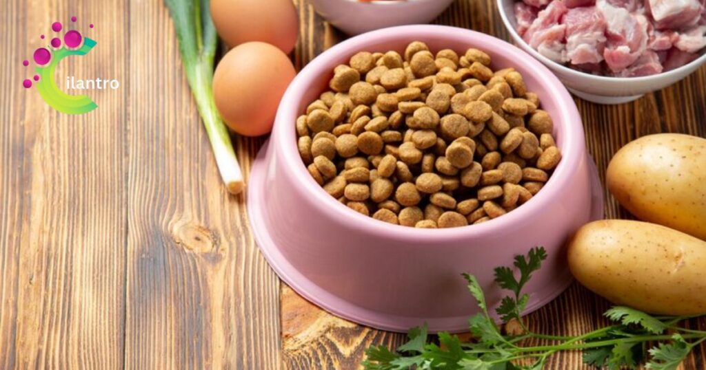 Nutritional Benefits and Considerations for Canine Consumption
